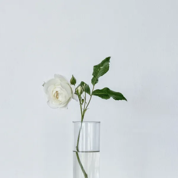 Vase Cylindrique Transparent, création florale ROZFLEURS
