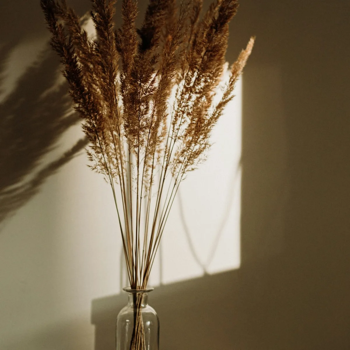 Composition coloree de saison, esprit boheme
